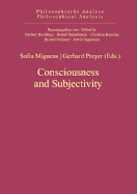 bokomslag Consciousness & Subjectivity