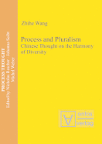 bokomslag Process & Pluralism