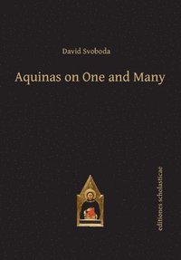 bokomslag Aquinas on One and Many