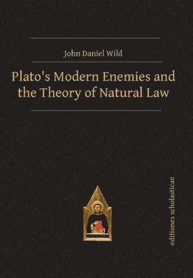 bokomslag Plato's Modern Enemies and the Theory of Natural Law