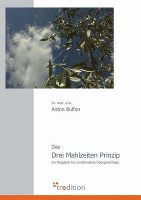 bokomslag Drei Mahlzeiten Prinzip