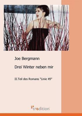 Joe Bergmann - Drei Winter Neben Mir, Häftad