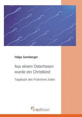 Helga Sonnberger - Aus Einem Osterhasen Wurde Ein Christkind, Häftad
