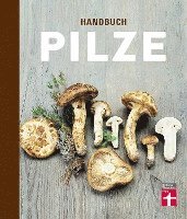 bokomslag Handbuch Pilze