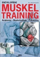 bokomslag Enzyklopädie des Muskel-Trainings