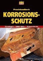 bokomslag Praxishandbuch Korrosionsschutz