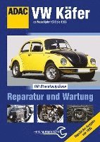 VW Käfer 1