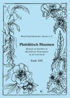 bokomslag Plattdütsch Blaumen Bauk XIII