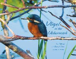 Reinhard Scholz - Vögel in der Uckermark, Inbunden