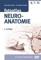 bokomslag Fotoatlas Neuroanatomie
