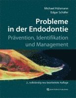 bokomslag Probleme in der Endodontie