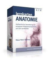 Klaus-Peter Valerius - Lernkarten Anatomie, Häftad