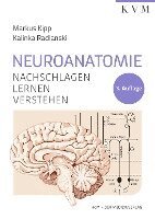 Markus Kipp, Kalinka Radlanski - Neuroanatomie, Häftad