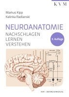 bokomslag Neuroanatomie