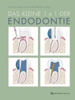 bokomslag Das kleine 1x1 der Endodontie