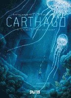 bokomslag Carthago 04. Die Monolithen von Koubé