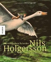bokomslag Die wunderbare Reise des Nils Holgersson mit den Wildgänsen