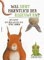 bokomslag Was sieht eigentlich der Regenwurm?