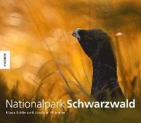 bokomslag Nationalpark Schwarzwald