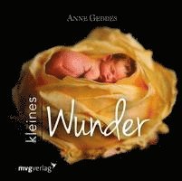 Kleines Wunder