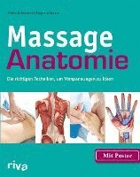 bokomslag Massage-Anatomie