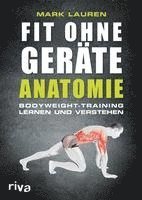 bokomslag Fit ohne Geräte - Anatomie