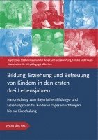 bokomslag Bildung, Erziehung und Betreuung von Kindern in den ersten drei Lebensjahren