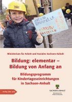 bokomslag Bildung: elementar - Bildung von Anfang an