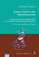 bokomslag Kultur-Poetik in der Mittelbronzezeit.