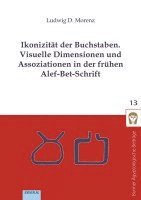 bokomslag Ikonizität der Buchstaben