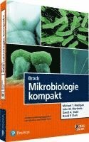 bokomslag Brock Mikrobiologie kompakt