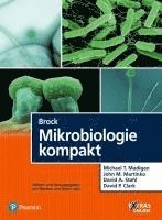 bokomslag Brock Mikrobiologie kompakt