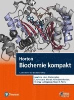 Horton Biochemie kompakt