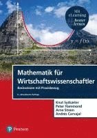 bokomslag Mathematik für Wirtschaftswissenschaftler