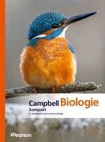 Lisa A. Urry, Michael L. Cain, Steven A. Wasserman, Peter V. Minorsky, Jane B. Reece - Campbell Biologie Kompakt, Häftad