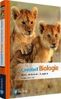 bokomslag Campbell Biologie Gymnasiale Oberstufe - Übungsbuch
