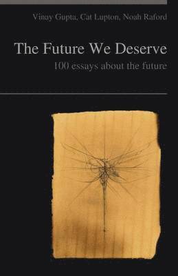 Vinay Gupta, Cat Lupton, Noah Raford - Future We Deserve, Häftad