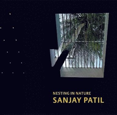 bokomslag Sanjay Patil