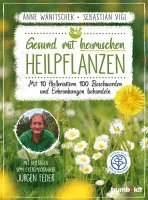 bokomslag Gesund mit heimischen Heilpflanzen