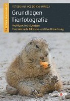 bokomslag Grundlagen Tierfotografie