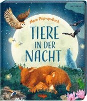 bokomslag Mein Pop-up-Buch - Tiere in der Nacht
