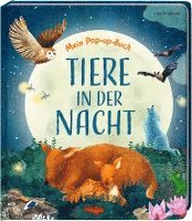 Mein Pop-up-Buch - Tiere in der Nacht 1