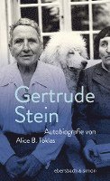 bokomslag Autobiografie von Alice B.Toklas