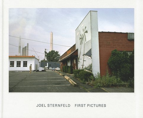 Joel Sternfeld 1