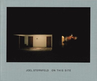 bokomslag Joel Sternfeld