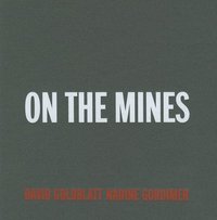 bokomslag David Goldblatt + Nadine Gordimer