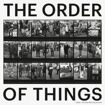 Brian Wallis - Order of Things, Inbunden