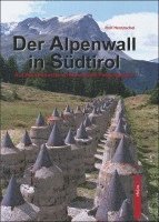 Der Alpenwall in Südtirol 1