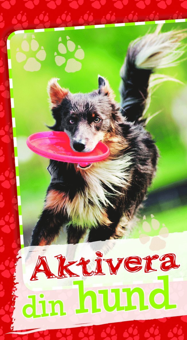 Aktivera din hund