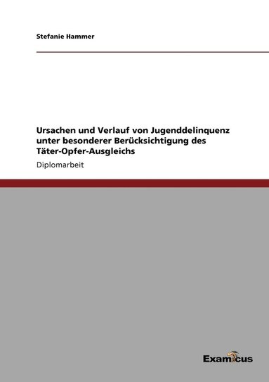 Stefanie Hammer - Ursachen und Verlauf von Jugenddelinquenz unter besonderer Berücksichtigung des Täter-Opfer-Ausgleichs, Häftad